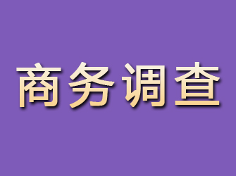 元宝山商务调查